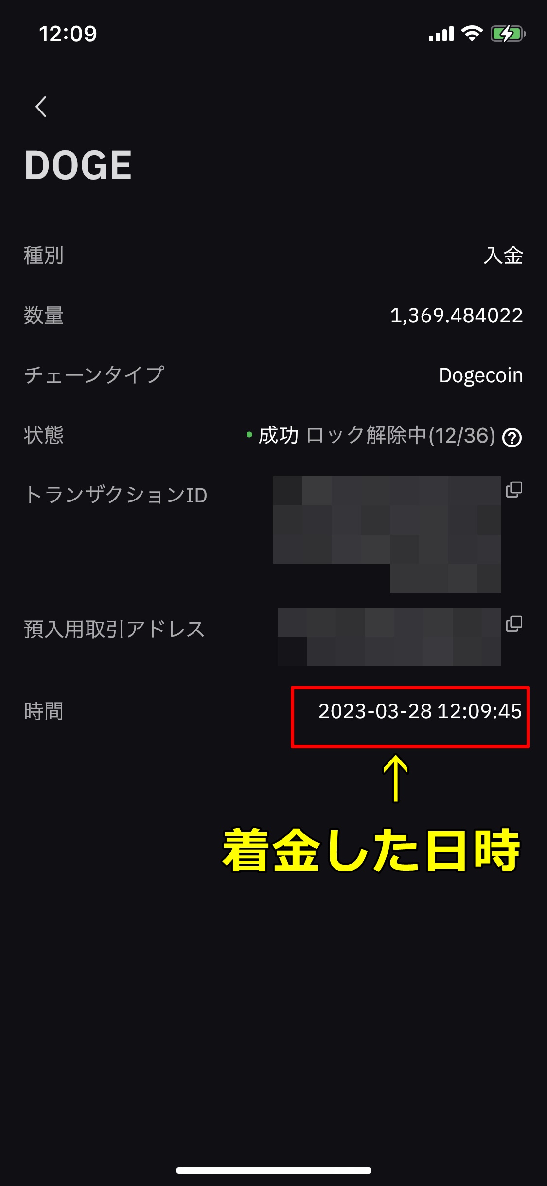 コニベット